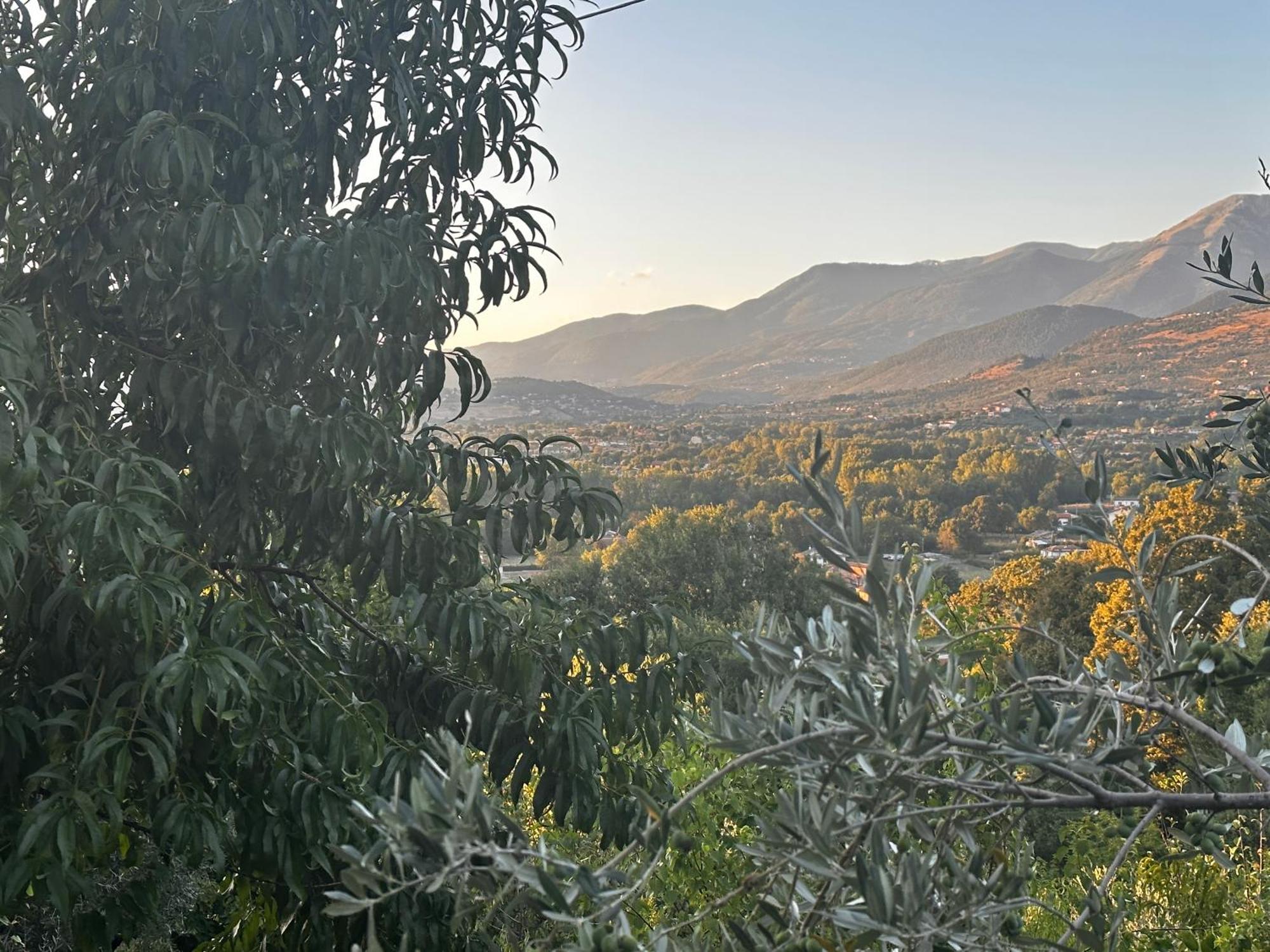 La Casa In Collina Διαμέρισμα Veroli Εξωτερικό φωτογραφία