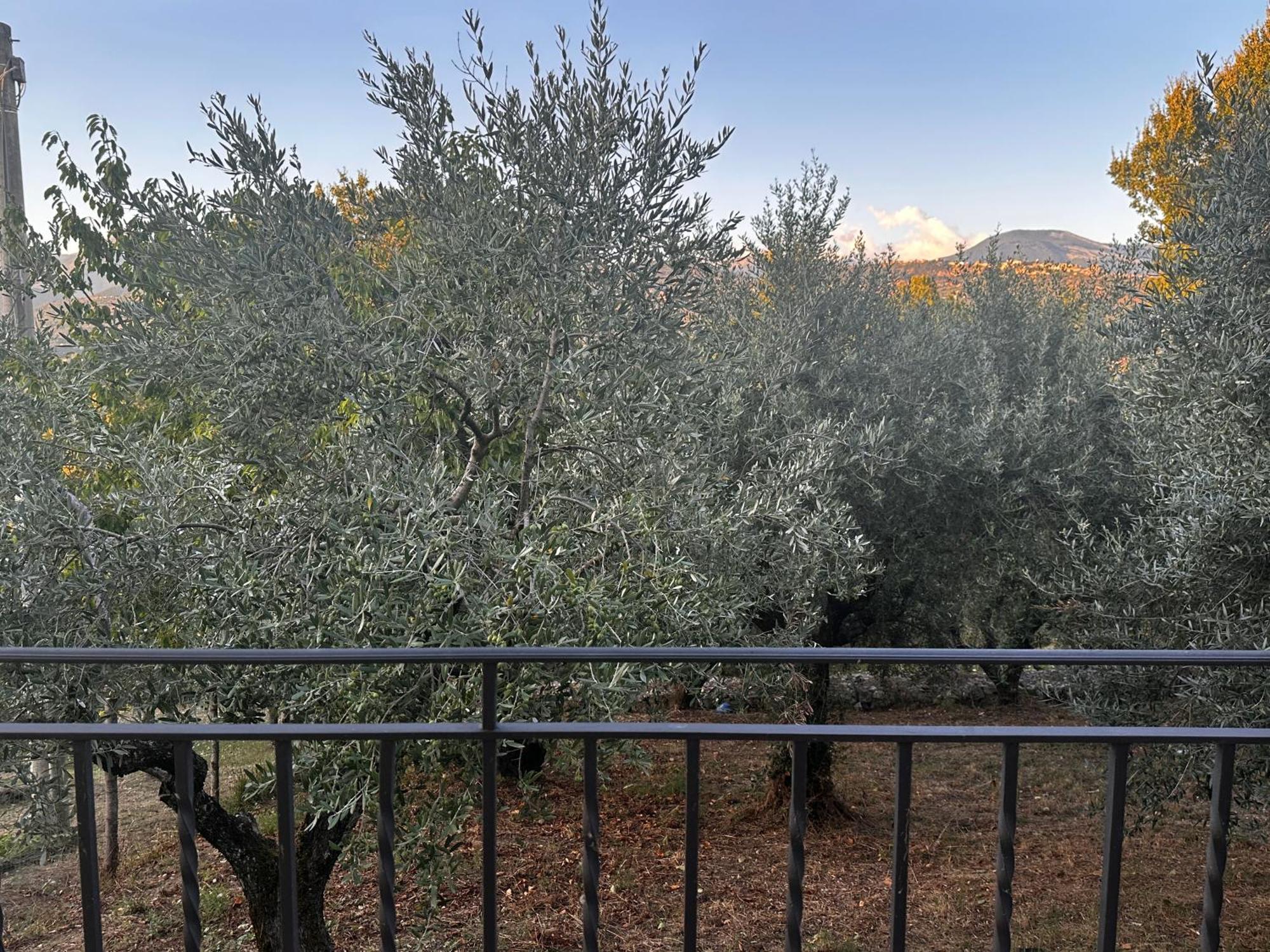 La Casa In Collina Διαμέρισμα Veroli Εξωτερικό φωτογραφία